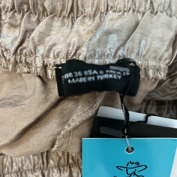 Shimmery pants - Picture 4 of 5